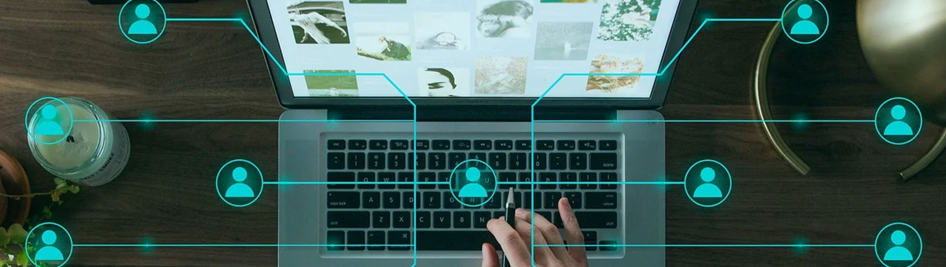 Web Design Services